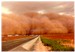 DUST COLLECTOR's Sart Page
