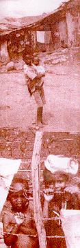 newhope1.jpg (6292 bytes)